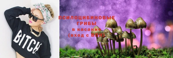 spice Богородицк