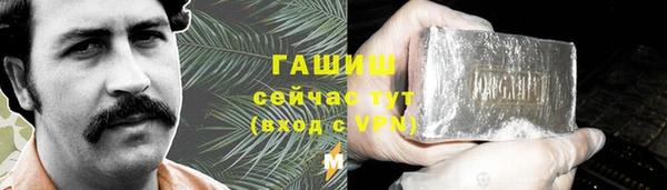 индика Волосово