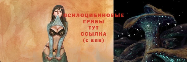 стафф Володарск