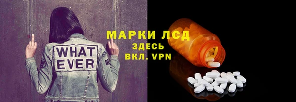 индика Волосово