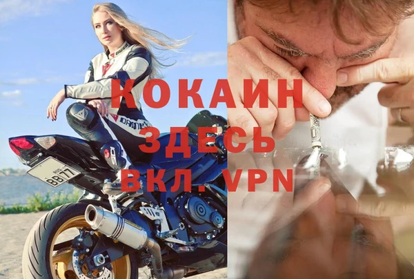 индика Волосово