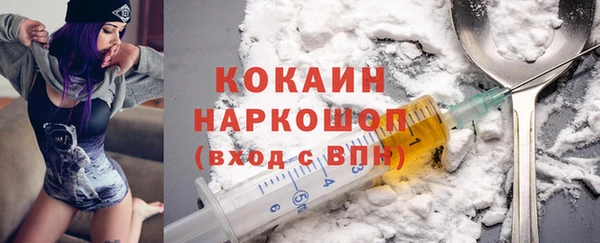индика Волосово