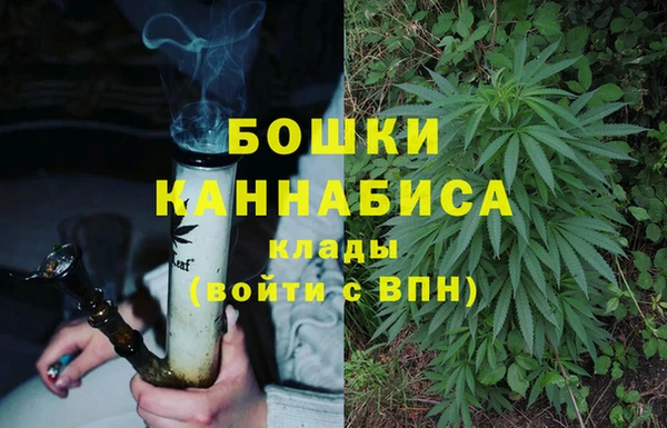 твердый Богданович
